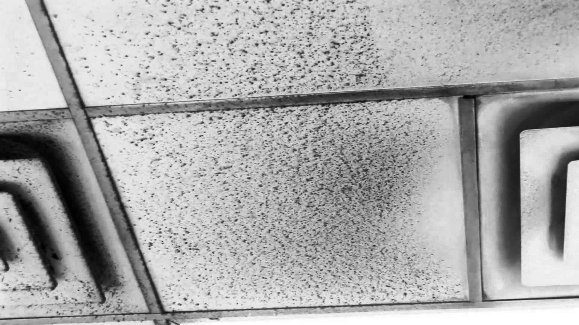Ceiling & Wall Cleaning